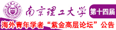 美女少妇吃大鸡巴在线南京理工大学第十四届海外青年学者紫金论坛诚邀海内外英才！